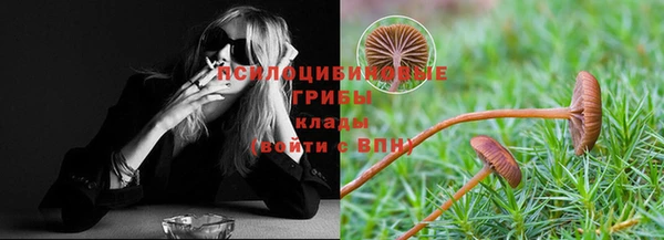 экстази Арсеньев