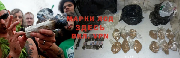 MESCALINE Аркадак